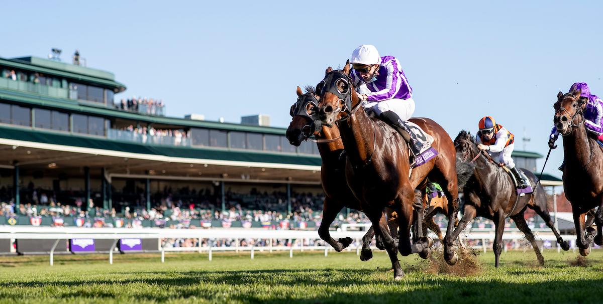Keeneland, Breeders' Cup, horse racing, America's Best Racing, ABR Keeneland, Breeders' Cup, horse racing, America's Best Racing, ABR